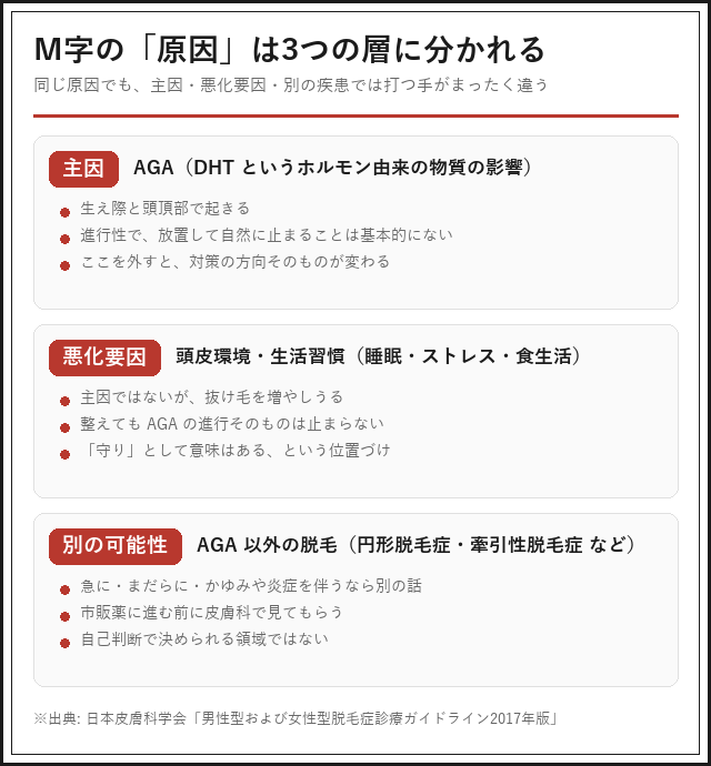 M字ハゲの原因の3層構造（主因＝AGA・悪化要因＝頭皮環境と生活習慣・別の可能性＝AGA以外の脱毛）を整理した図解