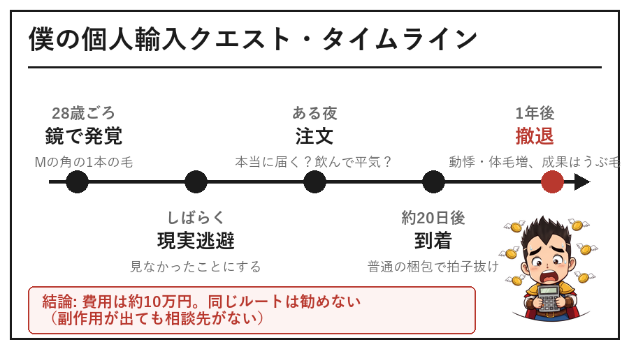 個人輸入のタイムライン図解