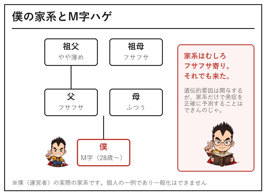 僕の家系とM字ハゲの家系図